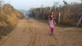 Morning walk at Tilpath Valley Biodiversity Park, Sainik Farms, South Delhi