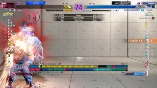 Sf6 kimberly vs akuma   (analyzing test)