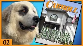Humane Society of Carroll County | Carroll Magazine LIVE 02