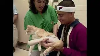 Rescue 911 - NY Animal Hospital/Carbon Monoxide Cop