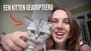 EEN KITTEN GEADOPTEERD