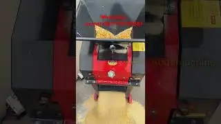 corn cracking machine #cornmill #maizemill #mill #cornmillmachine #cowfeeding #cowfeed #sheepfeed