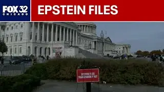 WATCH LIVE: U.S. House votes on release of Epstein file