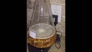 Wyeast London ESB flocculation