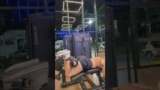 *MESA FLEXORA