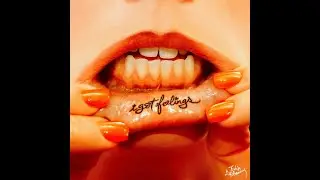 Twin Diplomacy - I Got Feelings (Extended Mix)