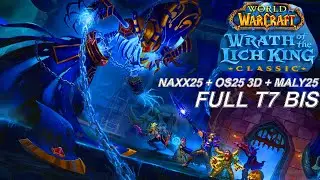 Affliction Warlock POV (Full Phase 1 BIS) Naxx25+OS25 3D + EoE25 Full Clear