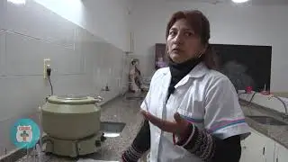 PROF  MARINA HERRERA FORMOL O FORMALDEHIDO
