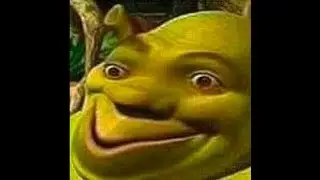 The Gonk music video