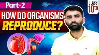 how do organisms reproduce | part 2 | biology | class 10th | 2026