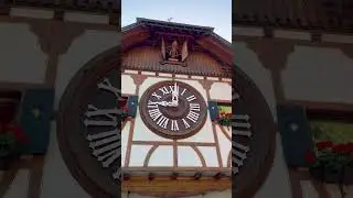 The world Largest Cuckoo Clock!! #cuckoo #schwarzw&auml;lder #clock #germany #shorts