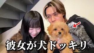 【ドッキリ】付き合った彼女が犬だったらどんな反応するのかwww