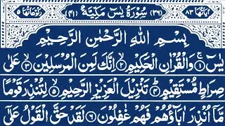 Surah Yaseen Surah Rahman Complete Tilawat | beautiful quran recitation | Ep 391 | quran tilawat