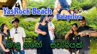 මාදු ගගේ සවාරිය 🌊🐚🍃⛵️| Exploring the Beauty of Madhu River | Vlog 18 #maduriver #Beach #balapitiya
