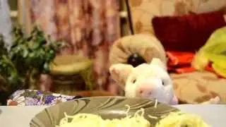 MR DUCK: The Best Friends (season 1 episode 5)