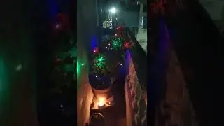 Multi colour light and laser beam light #trending #diwali #Lightshop