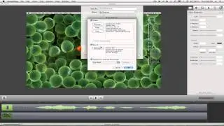 How To Export 1080p HD  On Screenflow