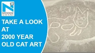2000 years old massive cat found etched into the desert in Peru among Nazca Lines