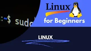Linux command for beginners
