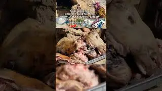 Cave Cooking Secrets Young Mothers Know That You Don't! | SHEEPHEADS RECIPE#foryou #duet #trending