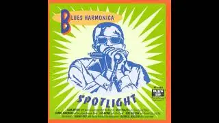Rod Piazza & The Mighty Flyers⭐Blues Harmonica Spotlight ⭐Back Door Man ⭐((*2019*))-