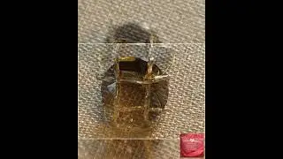 Vintage Hattie Carnegie Tiger Eye Caged Ring, Bold Statement Ring, Lover Antiques and Vintage