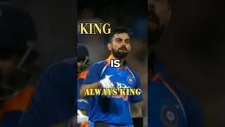 🗿Insane Domination Of Virat Kohli In Australia  #viratkohli #virat #shortfeed