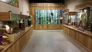 Little Ray's Reptile Zoo & Nature Centre Ottawa Ontario Canada 2023