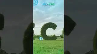 The Eco Green promise