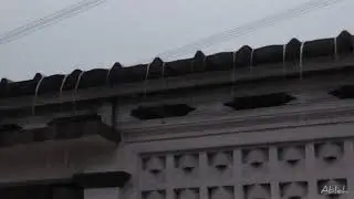 Fall Asleep Immediately in 5 Minutes with Torrential Rain on Tin Roof of Farmhouse🌧️🌧️