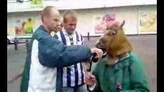Jelle P
