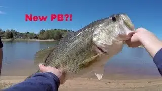 Catching BIG Bass with Lipless Crankbaits & Texas Rigs