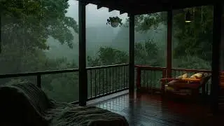 Rainy Day on a Forest Balcony | Calm Rain Ambience for Focus & Relaxation