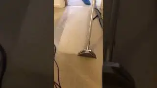 London carpet cleaning