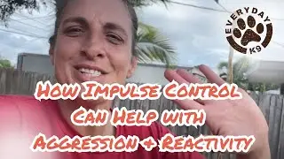 How impulse control can help with dog aggression and reactivity