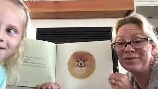 Captain Stumpy the Pirate Cat: The Search for Tiggie Pants