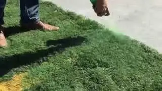 Recycled Artificial Grass Line Paint