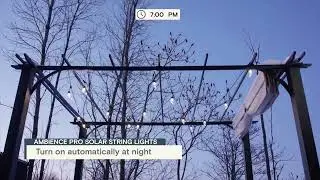 Waterproof Ambience Pro Solar String Lights