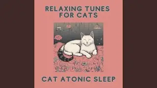 Chill Out Cat