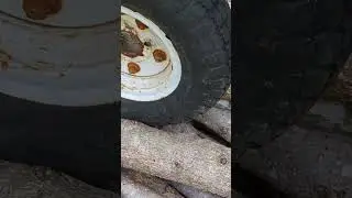 AIRSOFT pullet riffle Ruger 177.cal shoots tire !!!! #viral #funny