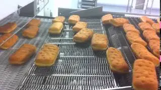 Donuts: Conveyor to Freezer