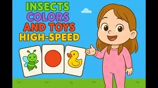 Right Brain Training: High-Speed Flashcards (Insects, Colors, Toys)