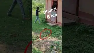 Dhubri, 8 jun incident, 😱😱 a piece of cow meat was found in front of the Dhubri Hanuman Mandir.