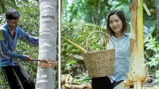 Cutting Coconut Tree To Get Hearts of Palm For Cooking |  Hearts of palm recipes