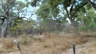 Tsendze Rustic Camp - Kruger Park2.AVI
