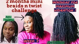 Mini braids on natural hair | HOW TO Grow your natural hair long