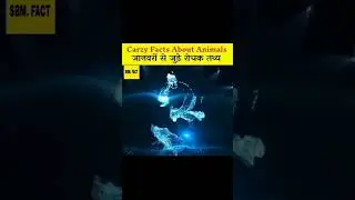 Crazy Facts About Animals 🐸🦘।। Amazing facts  1 minute fact ।।  #shorts #fact #short #sbmfact