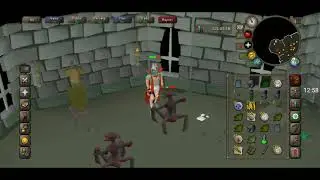 Zenyte ironman series#1(a late start)