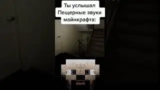 #minecraft #майнкрафт #мем #shorts