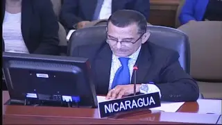 Desde la OEA se analiza la crisis en Nicaragua